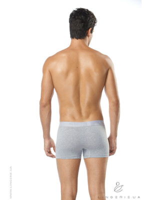 Купить Хлопковые трусы боксеры SVMmen 9018 в Украина в Lingerie.ua - Одяг для дому та відпочинку, Фото 3