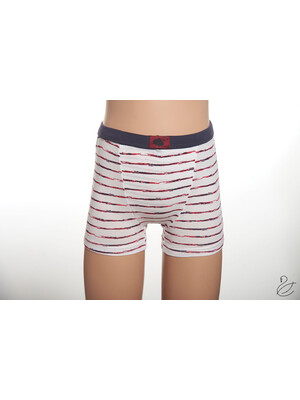 Трусы для мальчиков боксеры SEVIM 7617