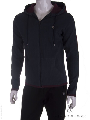 Купить Толстовка чоловіча AXXEL W698 в Украина