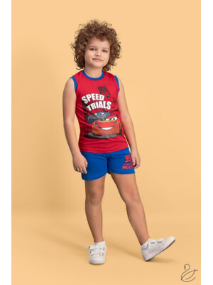 Купить Комплект для мальчика RP CARS D4151-5 в Украина