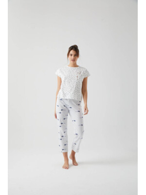 Купить Хлопковый комплект с капри HAYS 750019 в Украина в Lingerie.ua - Одяг для дому та відпочинку, Фото 1