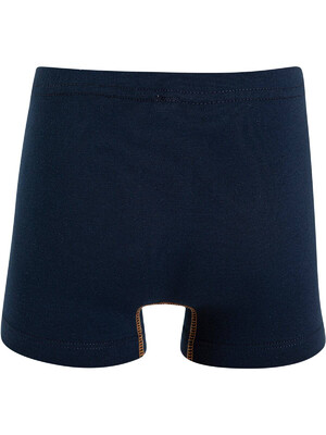 Купить Трусы детские боксеры для мальчика SEVIM 8522 в Украина в Lingerie.ua - Одяг для дому та відпочинку, Фото 4