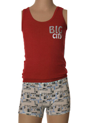 Комплект для мальчиков майка и трусы Sevim 7897