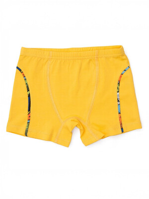 Купить Хлопковые трусы боксеры для мальчиков SEVIM 8313 в Украина