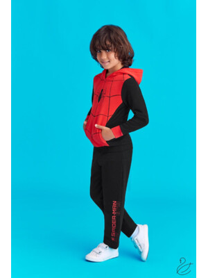 Купить Костюм для мальчиков RP SPIDER MAN D4044 (3-5) в Украина