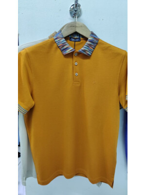 Купить Поло мужское FORMENTI FSP-2304 лакост в Украина