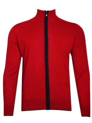 Купить Мужской джемпер FORMENTI FW-4043 шерсть/акрил в Украина