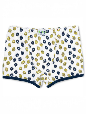 Купить Хлопковые трусы боксеры для мальчиков SEVIM 8181 в Украина