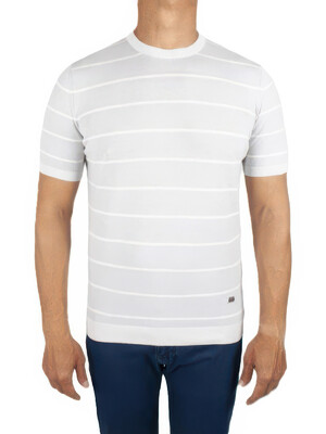 Купить Мужское поло FORMENTI FSP-1564 льняное в Украина