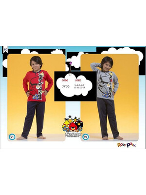 Пижама для мальчиков детская ANGRY BIRDS 3736