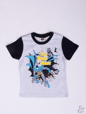 Купить Футболка для мальчика Roly Poly ТL227 в Украина в Lingerie.ua - Одяг для дому та відпочинку, Фото 2